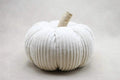 Cream Velvet Pumpkin Home Decor