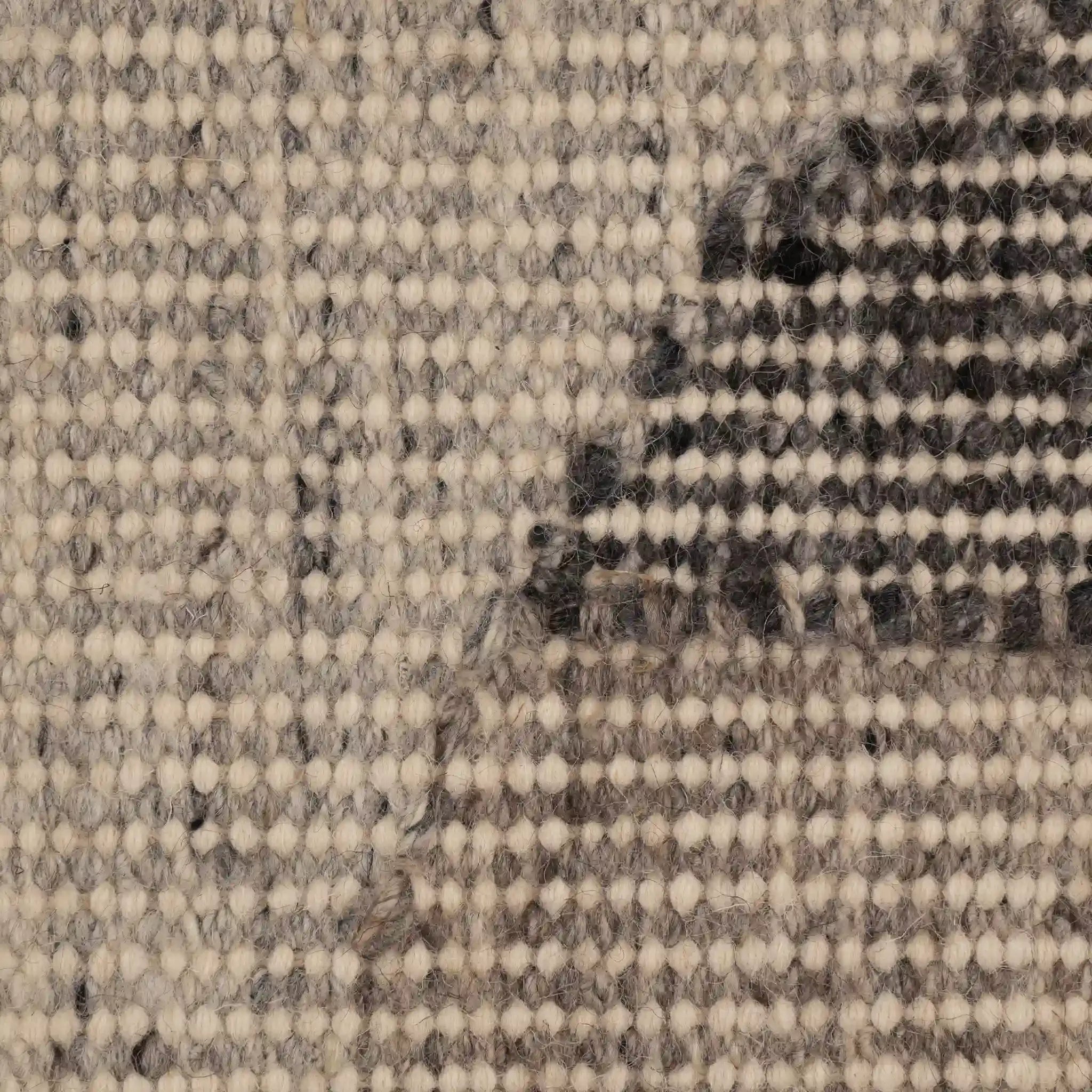 Heddley Flatweave Rug
