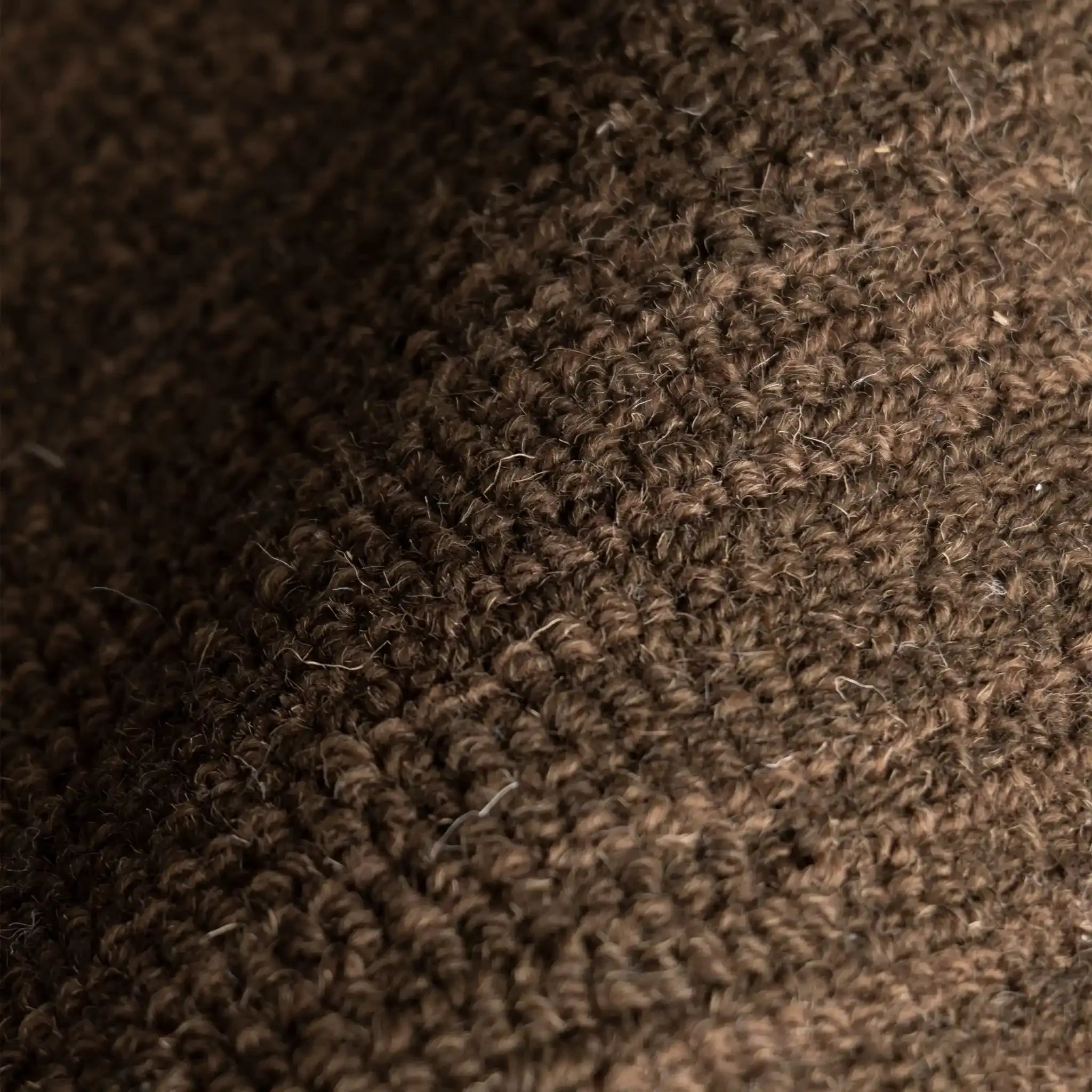 Hollis Hand Tufted Rug