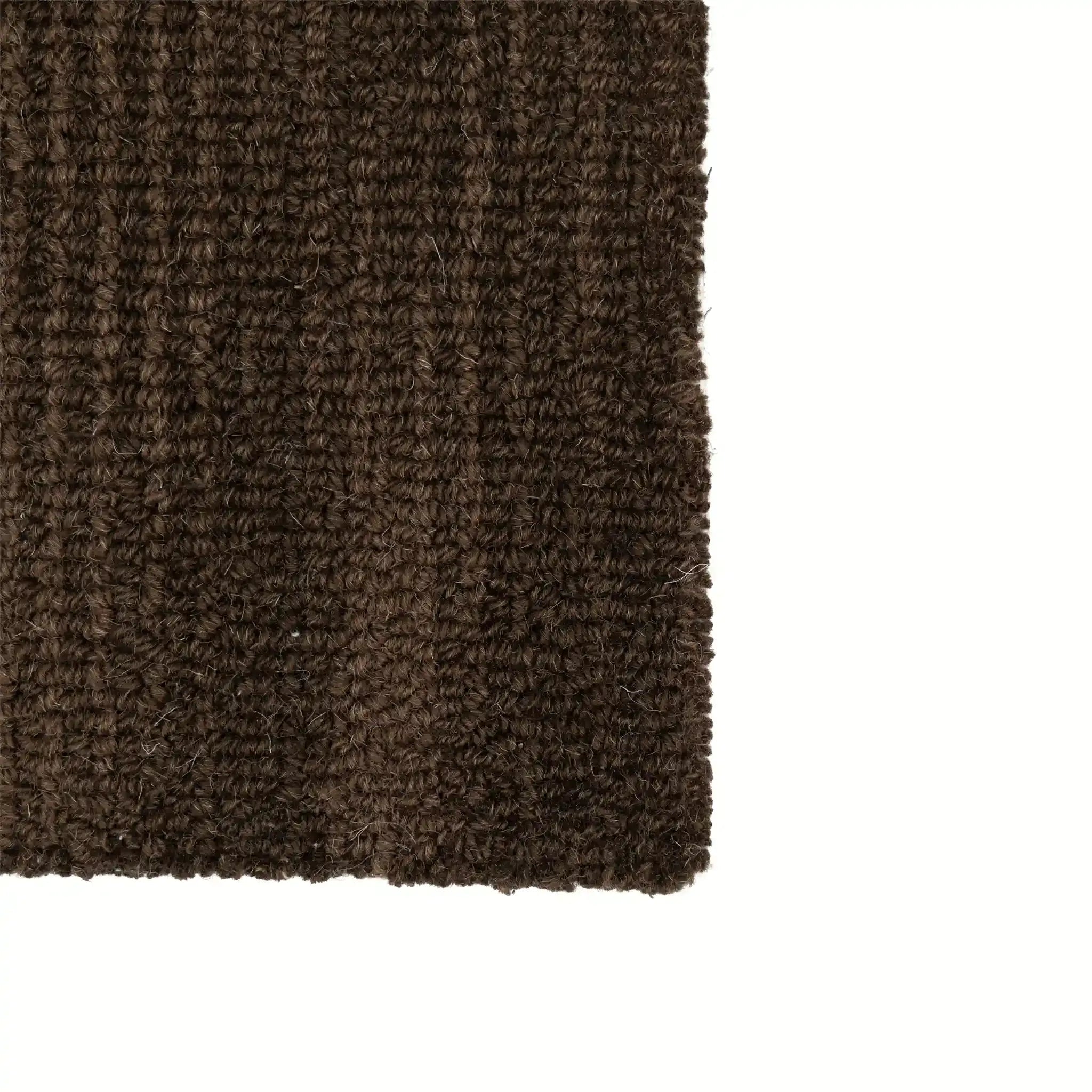 Hollis Hand Tufted Rug
