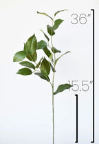 36" Faux Lemon Leaf Branch Stem