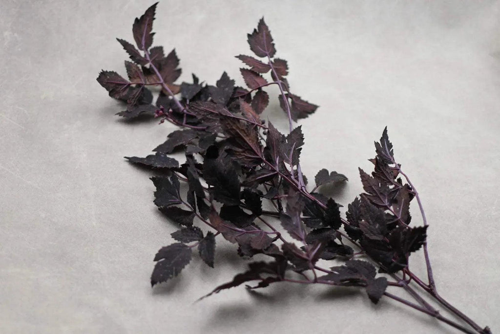 Autumn Ruscus Stem 31" Faux Flowers