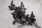 Autumn Ruscus Stem 31" Faux Flowers