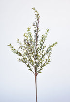 21" Faux White Berry Boxwood Greenery Stem