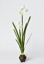 17.5" Faux Paperwhites w/ Bulb