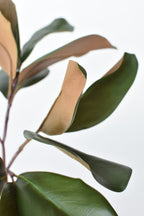16.5" Faux Magnolia Leaf Stem