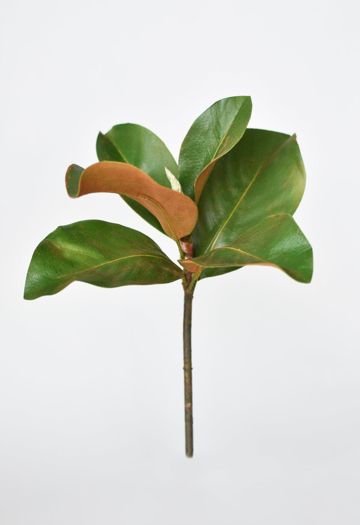 14" Faux Magnolia Leaf Stem