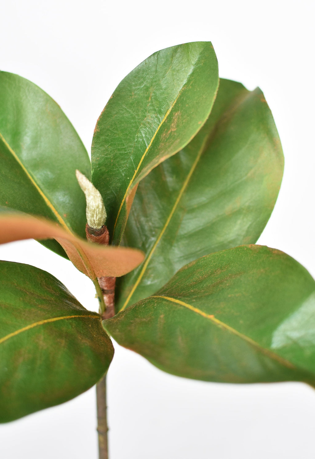 14" Faux Magnolia Leaf Stem