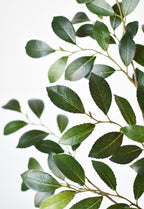 26" Faux Ruscus Leaf Stem