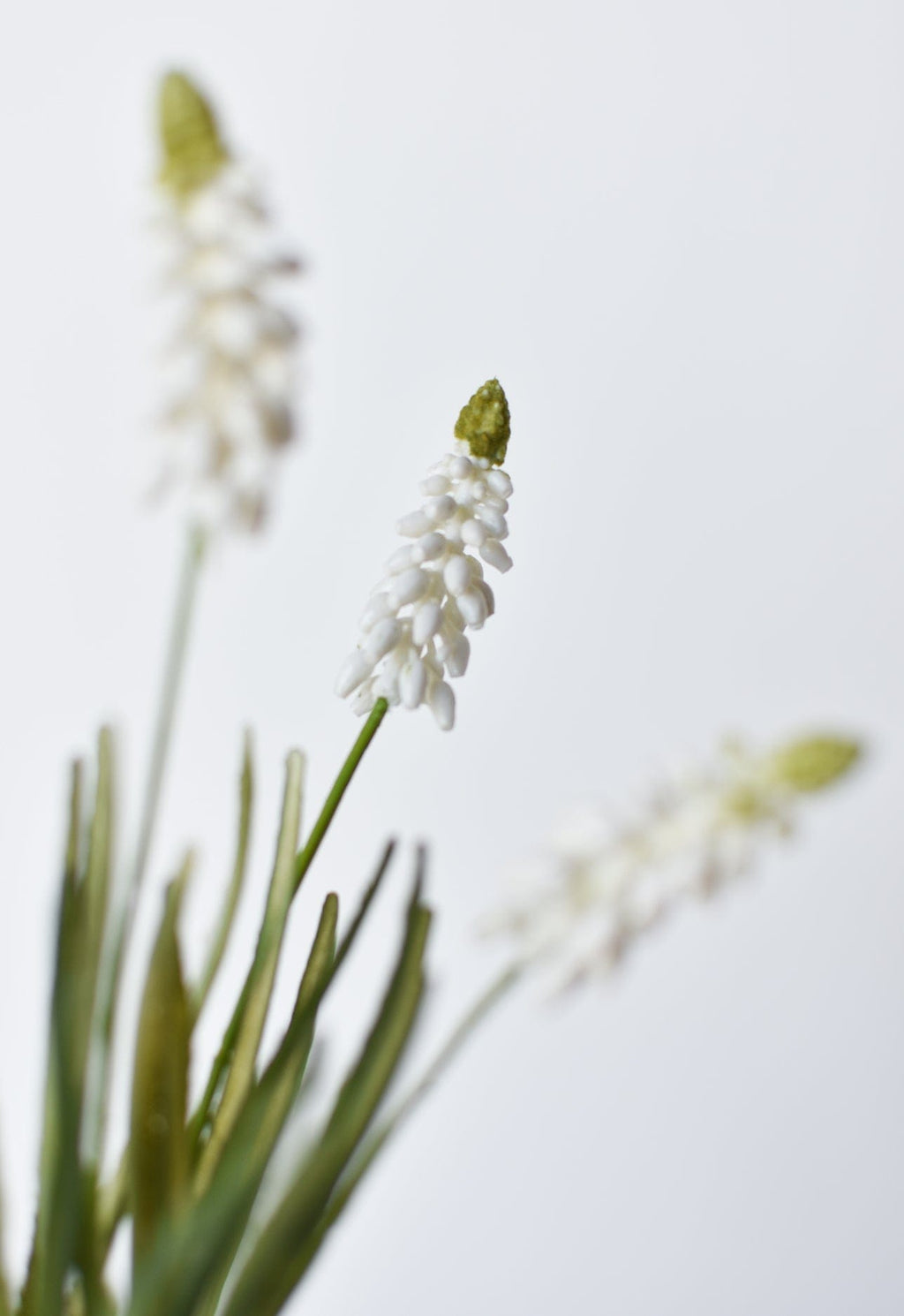 12.5" Faux White Muscari Bush Grape Hyacinth