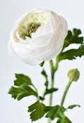 13" Faux White Ranunculus Stem