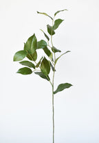 36" Faux Lemon Leaf Branch Stem