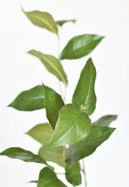 36" Faux Lemon Leaf Branch Stem