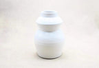 Modern White Vase Vase & Pots