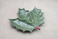 Decorative Holly Leaf Plate Home Decor