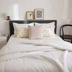 Sugar Embroidered Velvet Cushion Cover