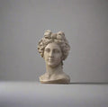 Grecian Bust Pot Planter Vase & Pots