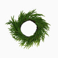 Real Touch Norfolk Pine Wreath 22” Home Decor