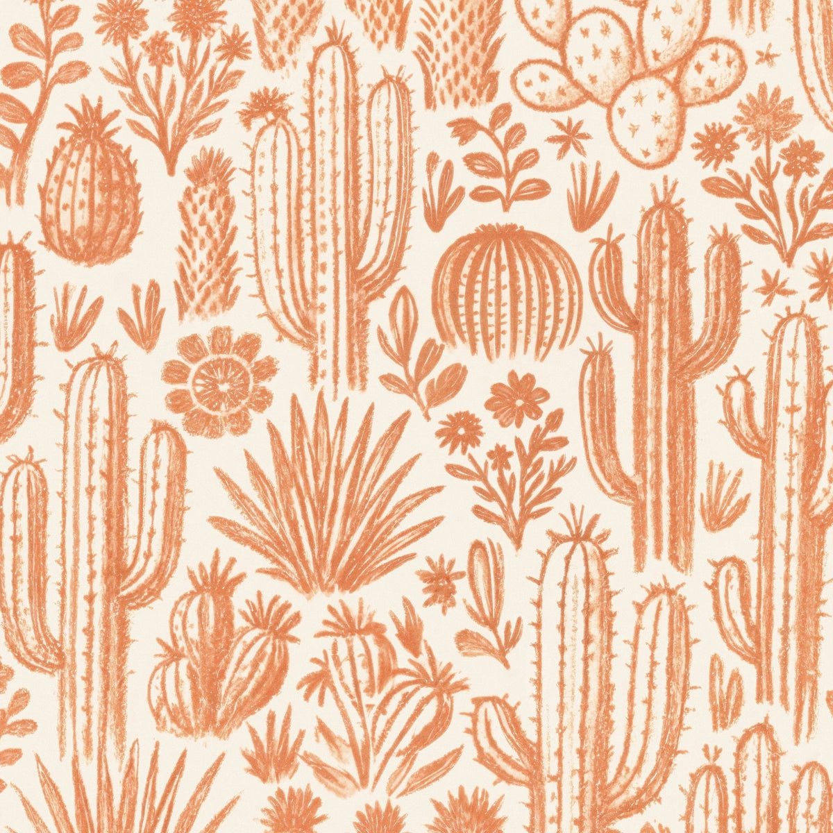 Ocotillo Wallpaper